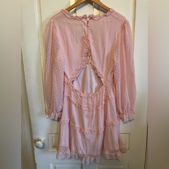 Pink Ruffle Mini Dress - Picture 3 of 7